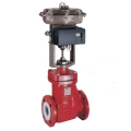 Richter RSS Series Valves